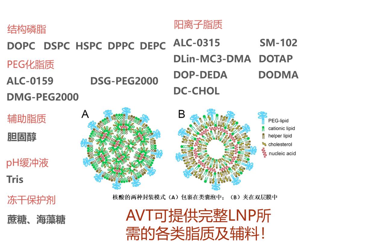 avt-pharma-20230404-53.jpg