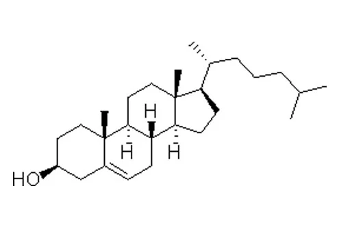 콜레스테롤 (식물 기원)